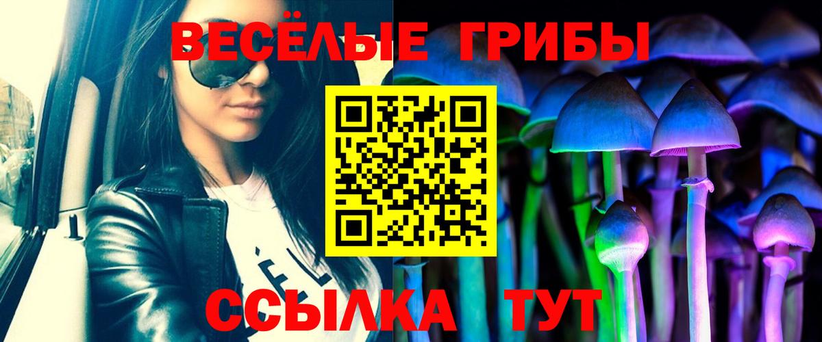 Псилоцибиновые грибы Psilocybe Шадринск